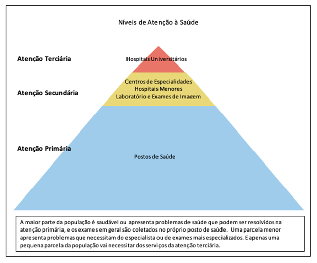 Níveis de atenção à saúde. Medicina de família e comunidade.